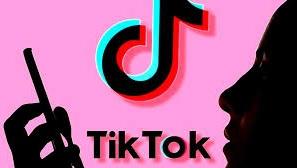 artis tiktok follower terbanyak indonesia