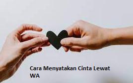 cara menyatakan cinta lewat wa