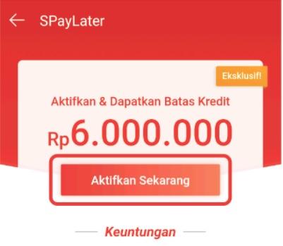 Limit Kredit Sementara Shopee Paylater