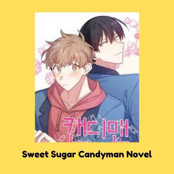 Sweet Sugar Candyman Novel
