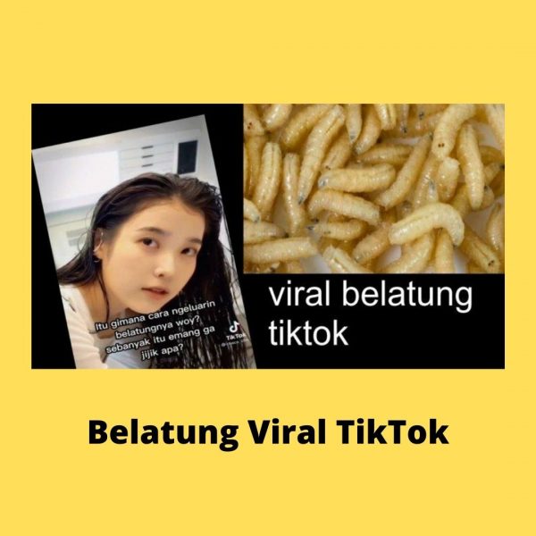 belatung viral tiktok