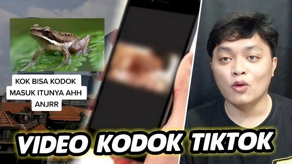 kodok viral tiktok