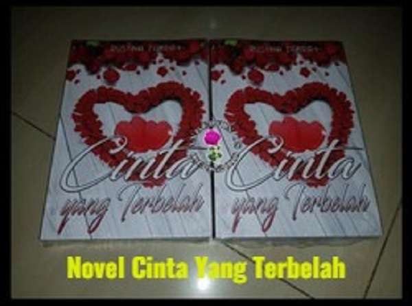 novel cinta yang terbelah