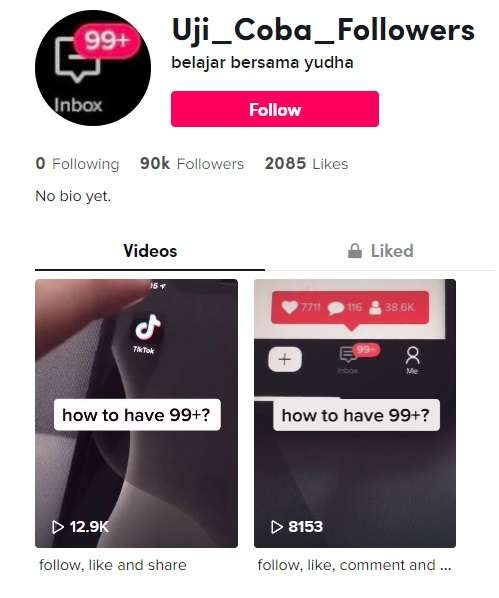 auto followers tiktok