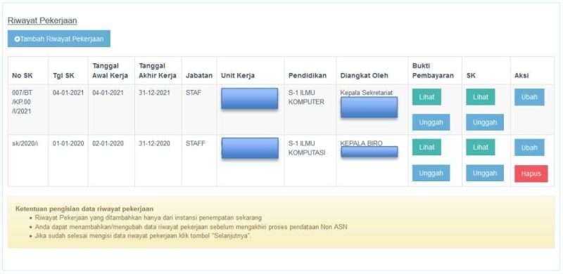 Cara Mengisi Riwayat Pekerjaan di Pendataan Non ASN